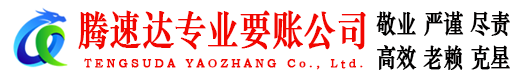 龙子湖讨账公司